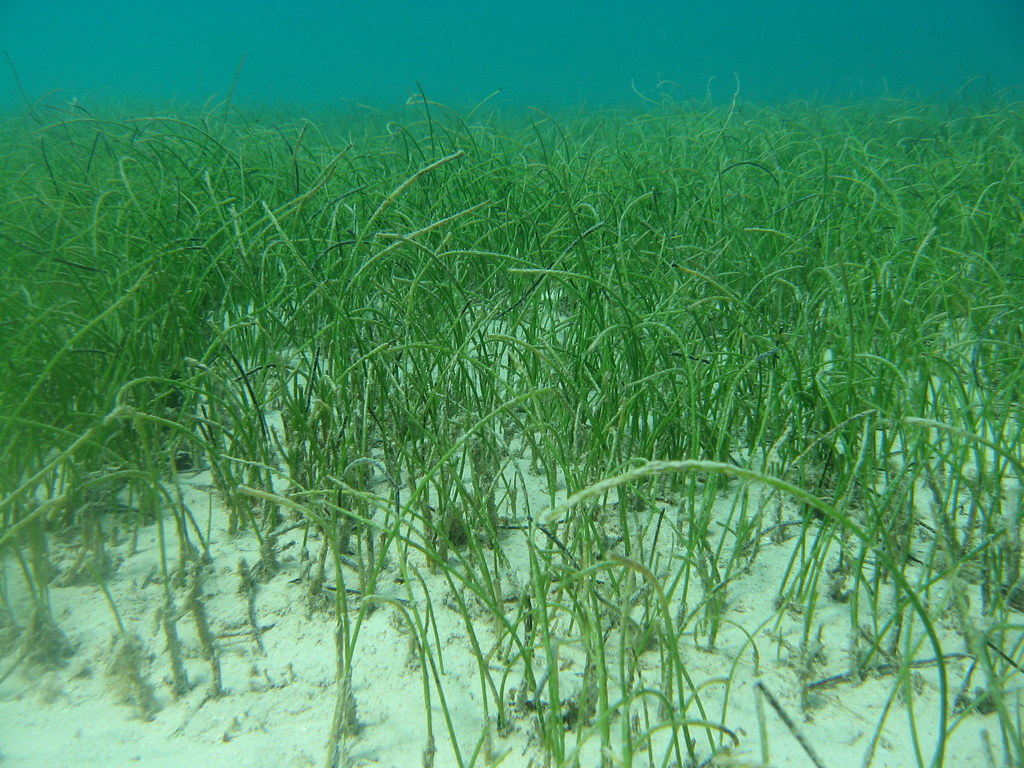 2376359788_e16ebb3420_b-2786969575