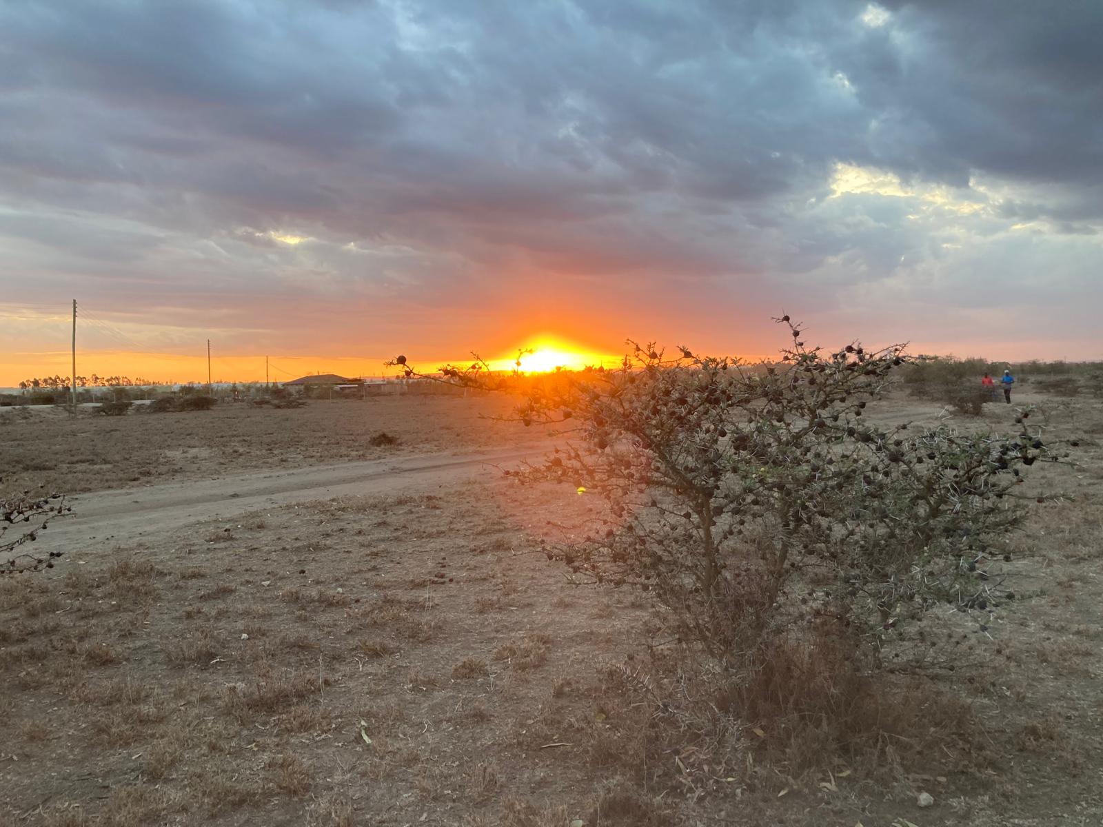 WhatsApp Image 2024-03-04 at 18.18.27 (3)